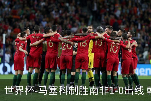 世界杯-马塞科制胜南非1-0出线 韩国积3分获小组第三待定