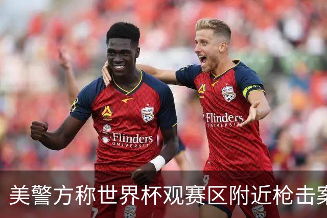 美警方称世界杯观赛区附近枪击案系孤立事件