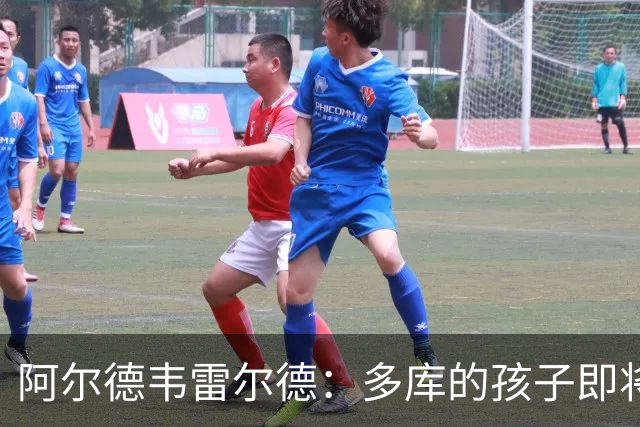 阿尔德韦雷尔德：多库的孩子即将出生，我后悔面对类似情况的选择